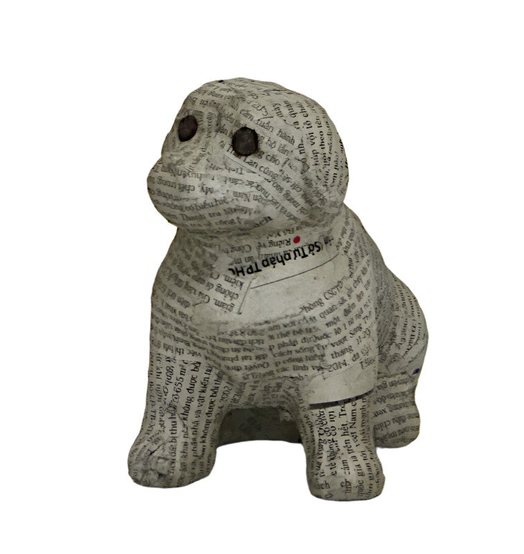 Newspaper Dog