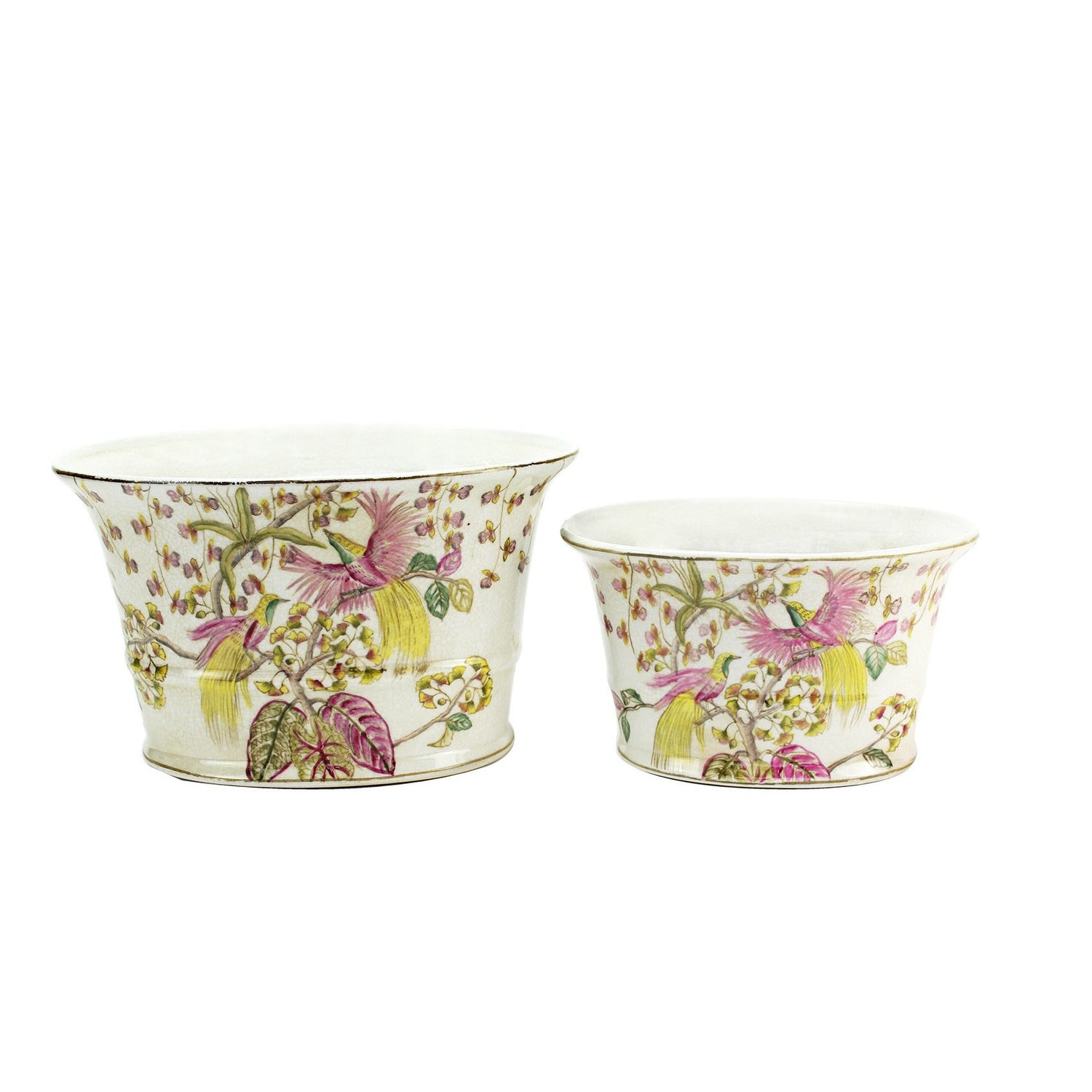 Oiseau De Paradis Oval Pots