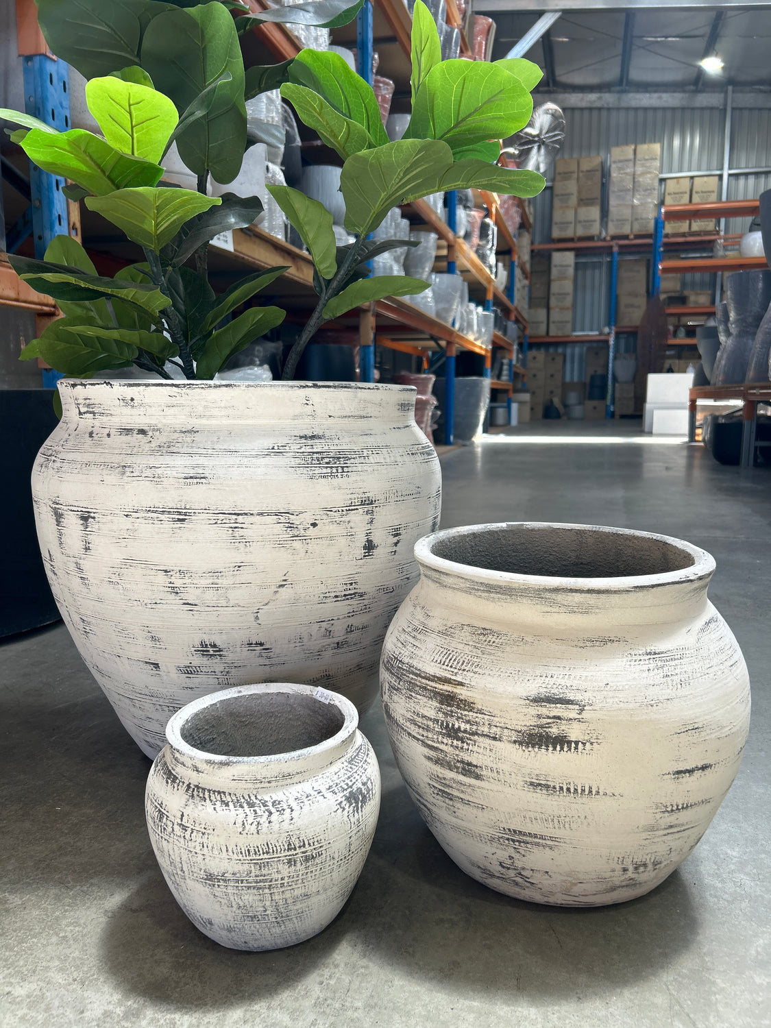 Belly Pot White