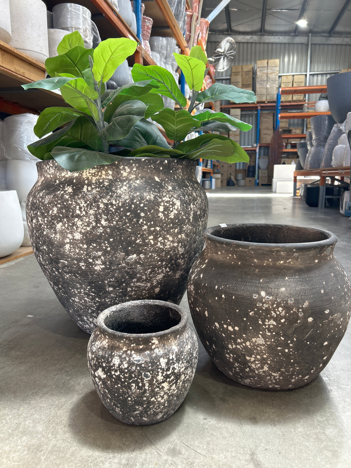 Belly Pot Grey