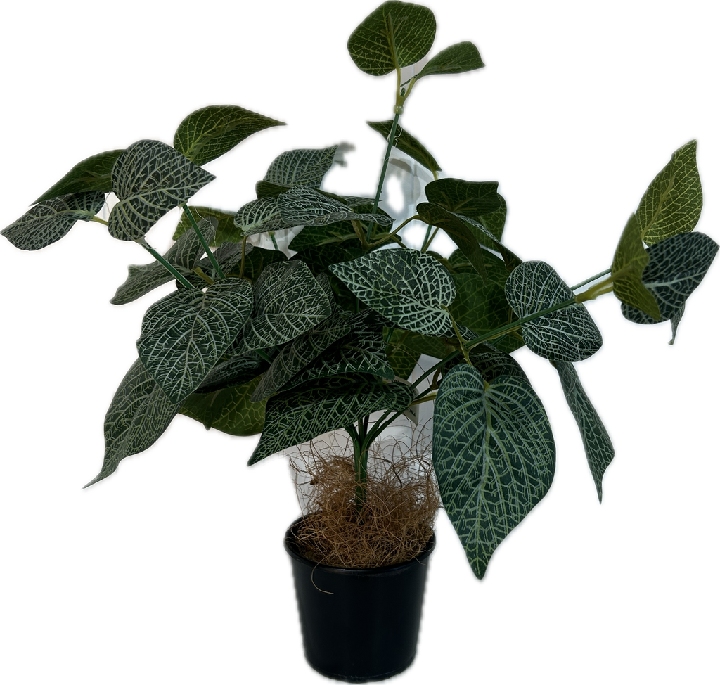 Mini Greenery