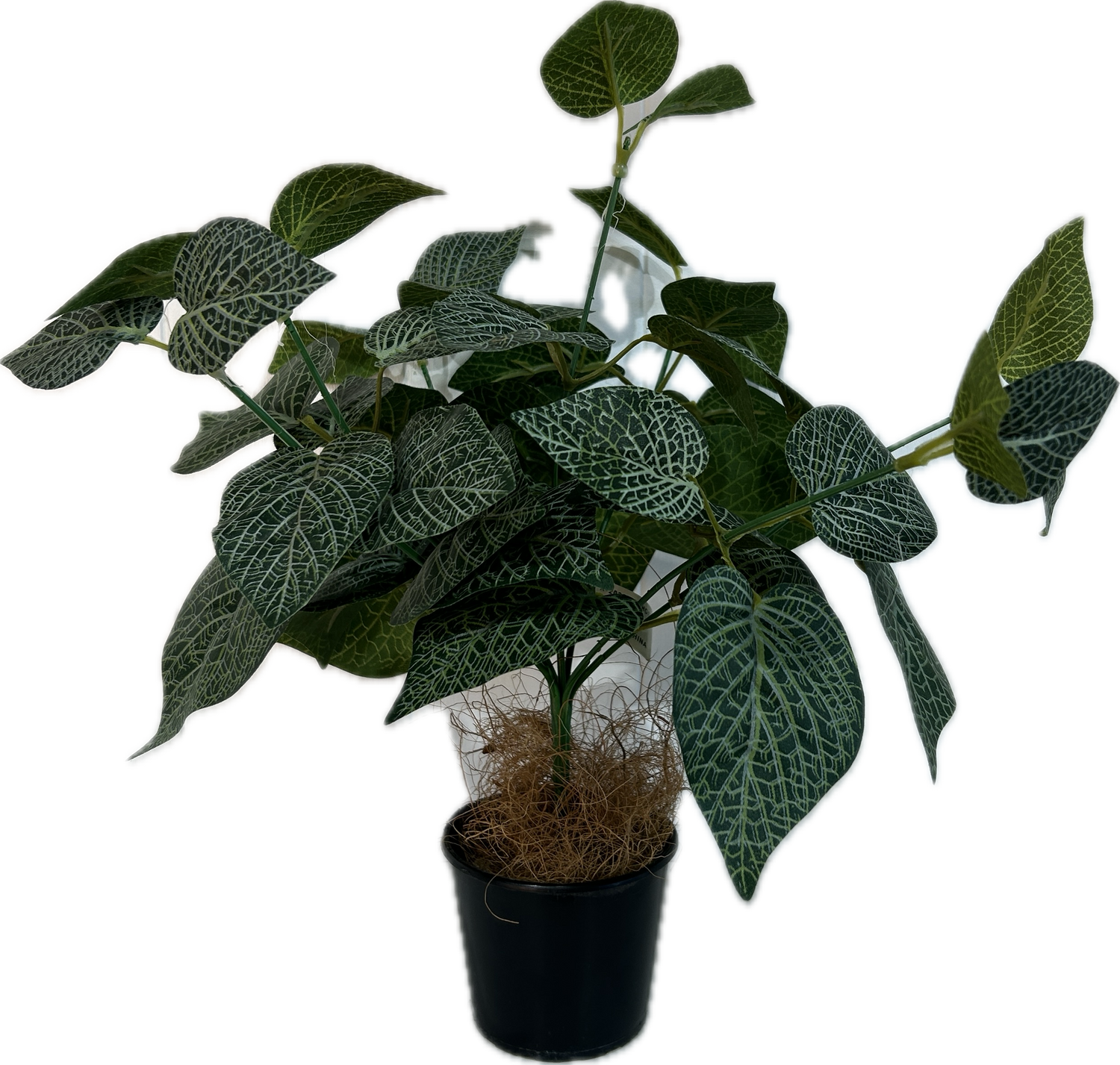 Mini Greenery