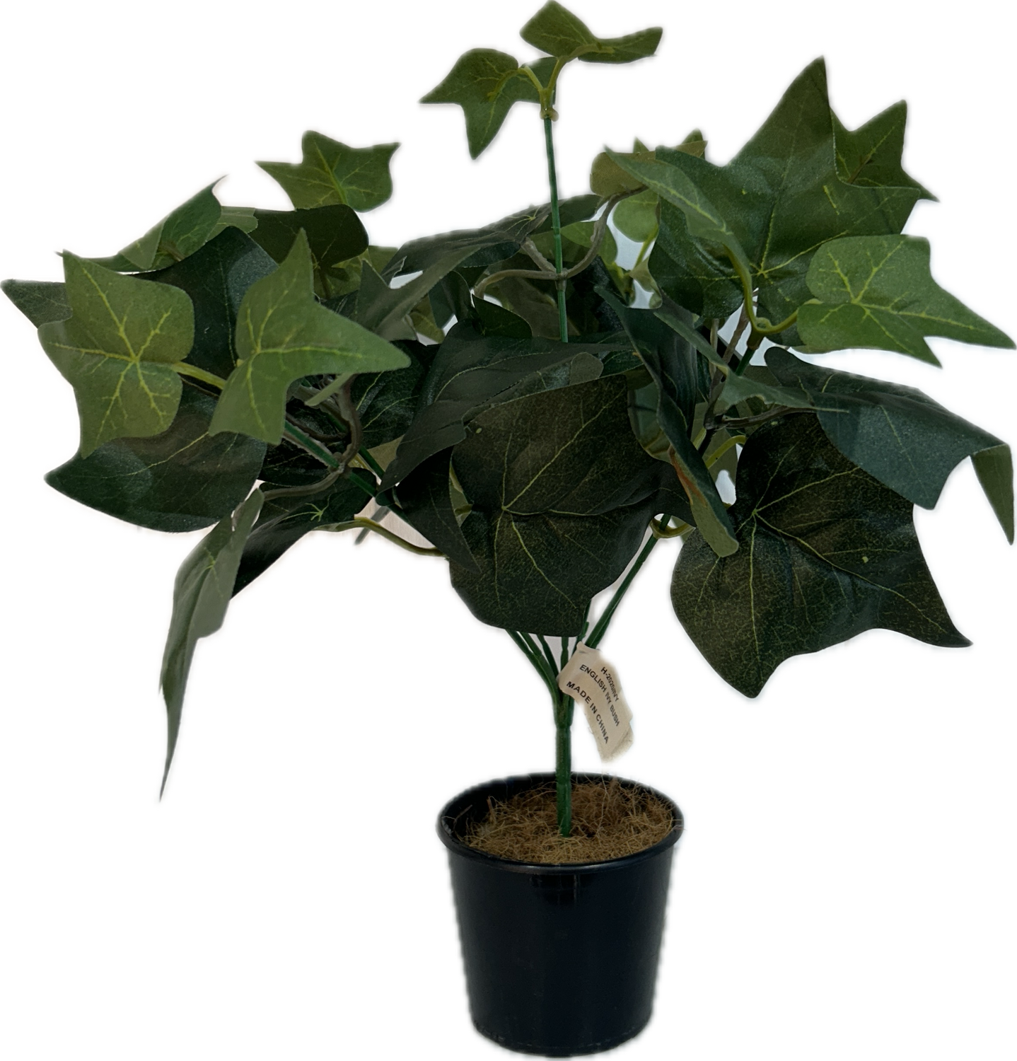 Mini Greenery