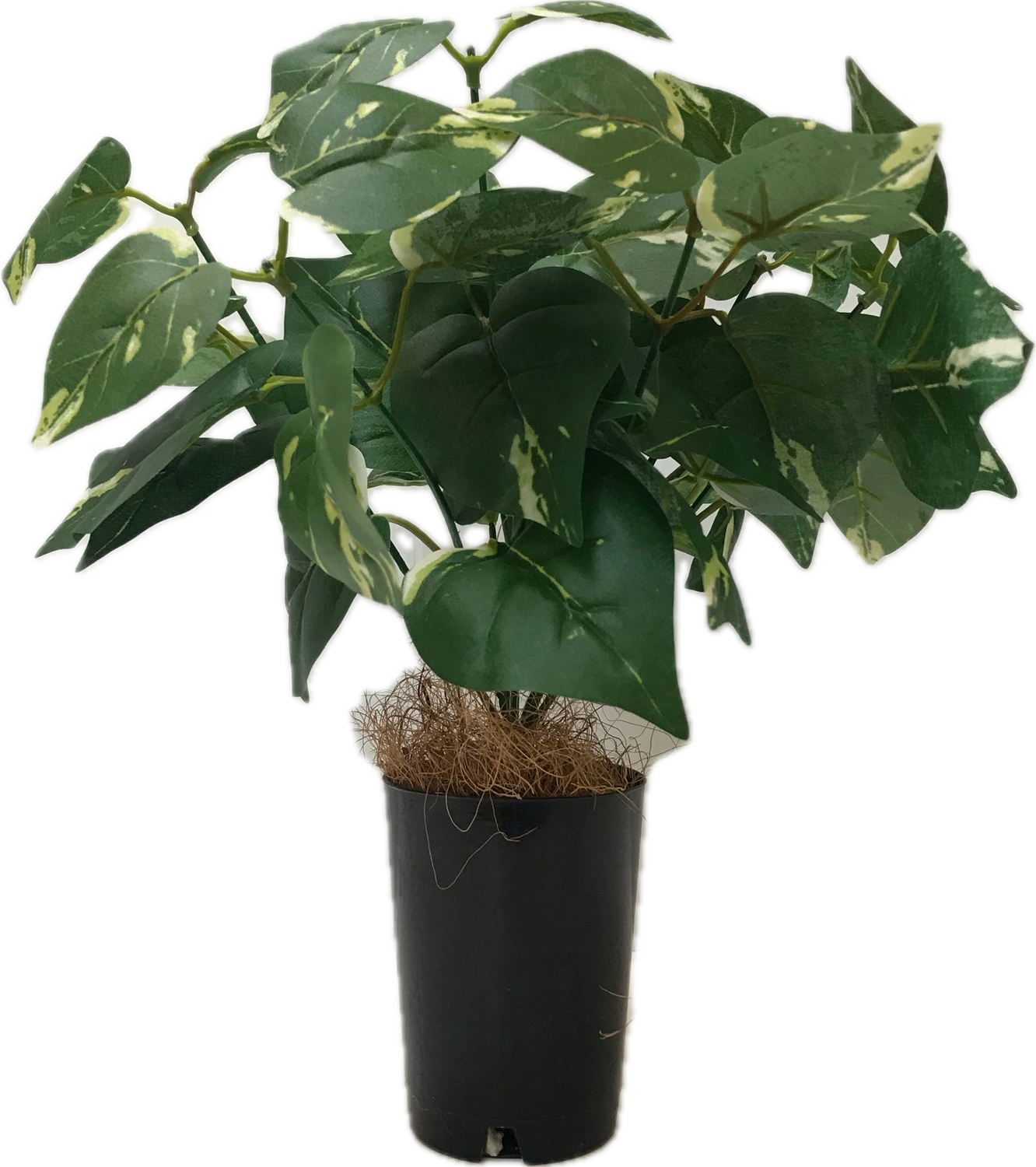 Mini Greenery