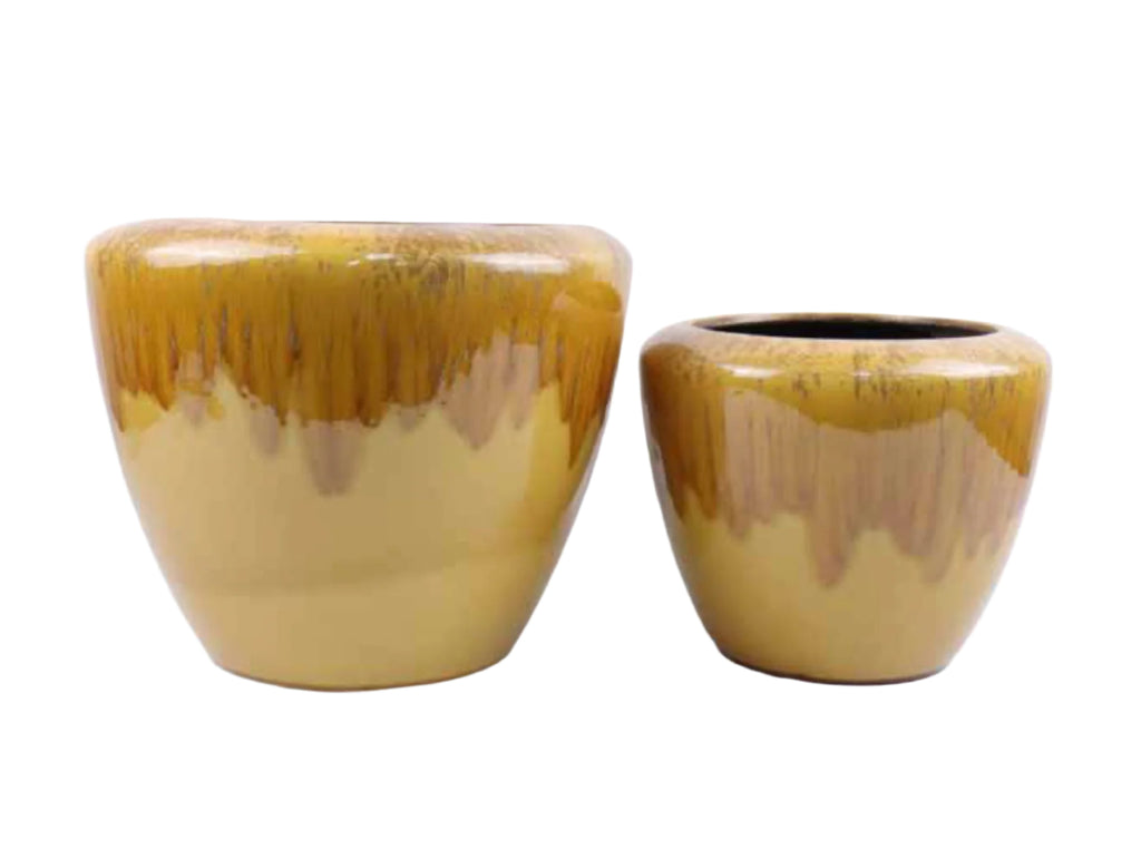 Mustard Gradient Planters