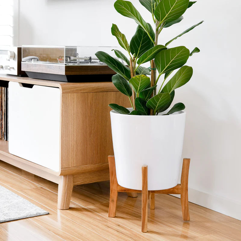Jayda Plant Stand White