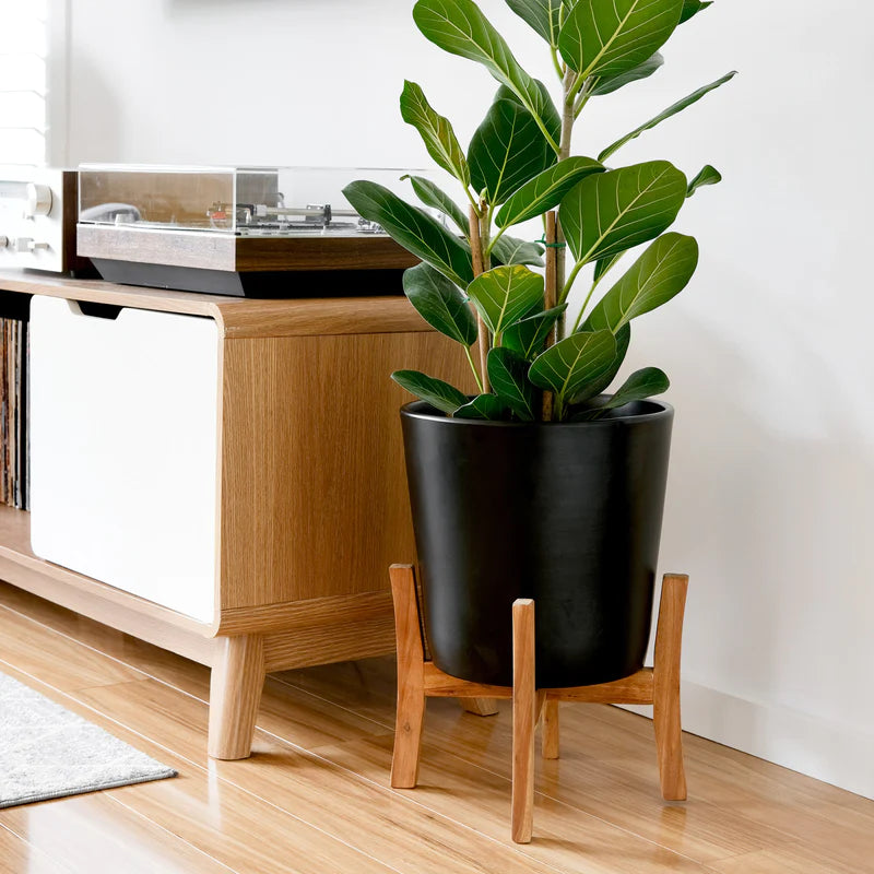 Jayda Plant Stand Blac