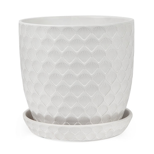 Shell Pot With Saucer Matte White