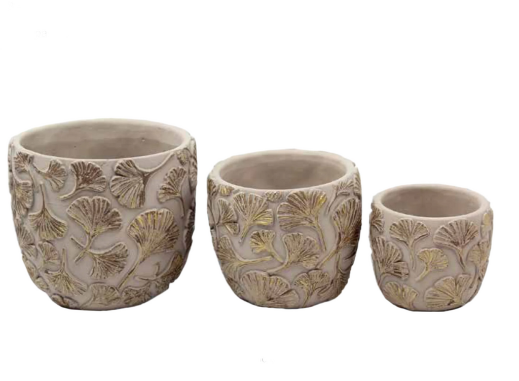 Gingko Planters