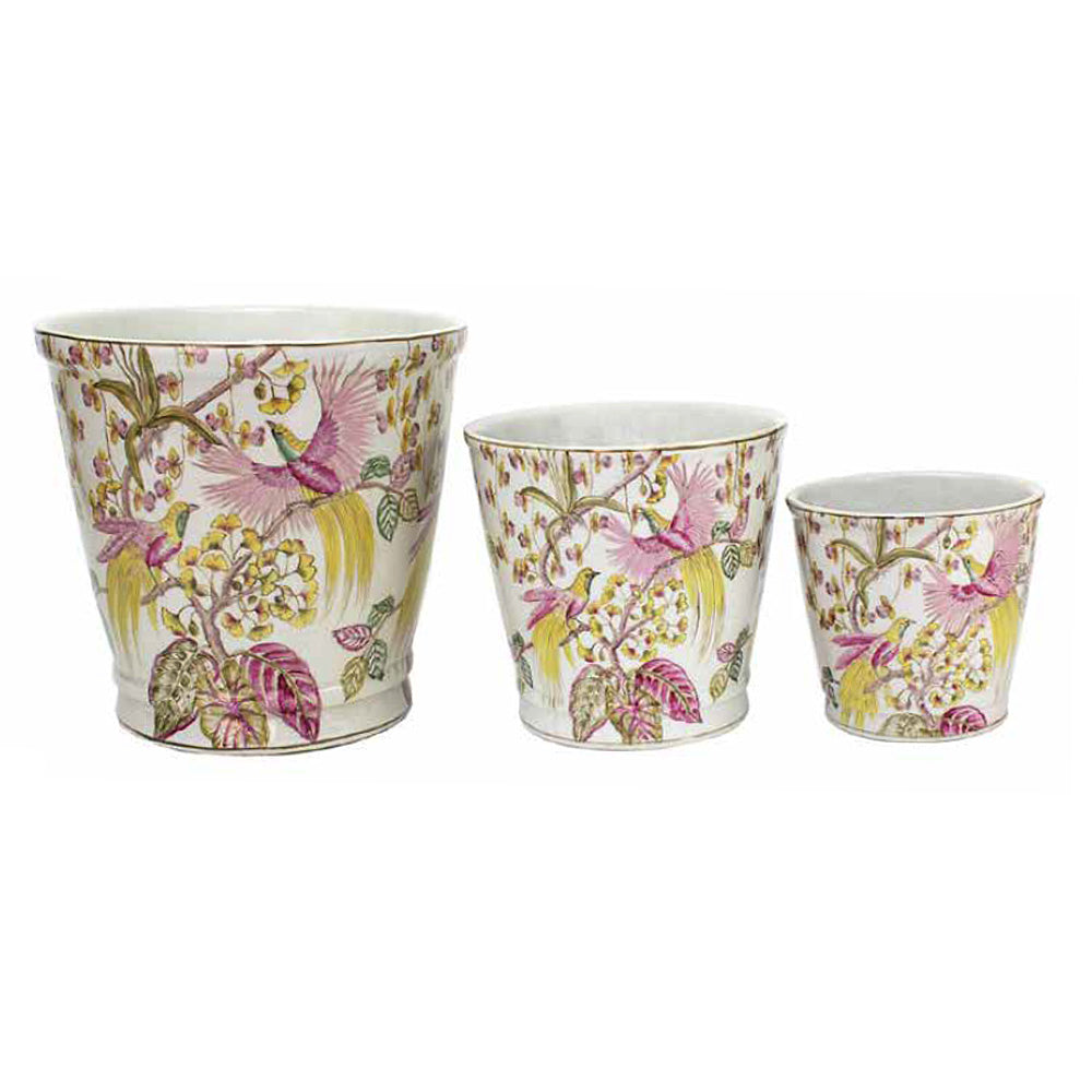 Oiseau De Paradis Round Pots