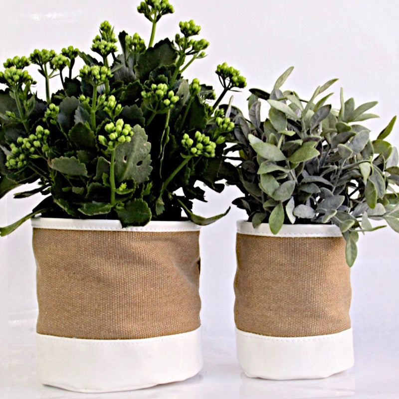 Plant Bags Canvas and white