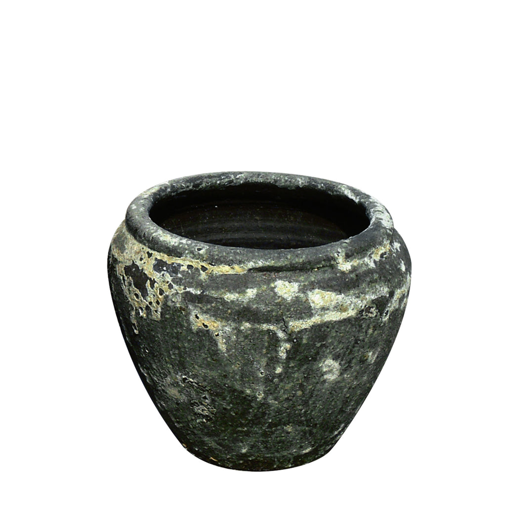 Tulip Planter