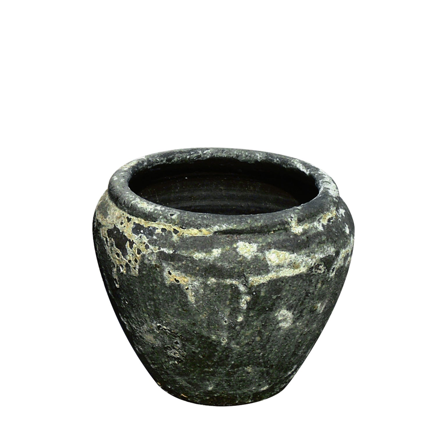 Tulip Planter