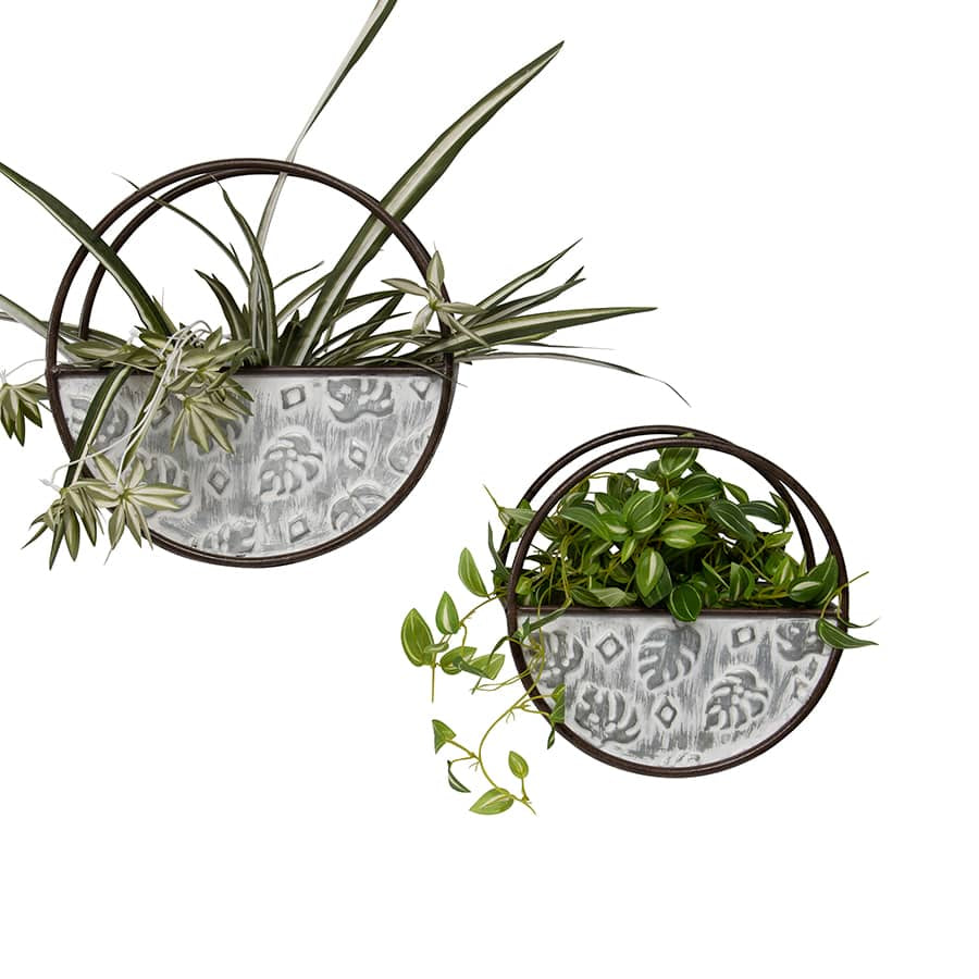 Monstera Wall Planter