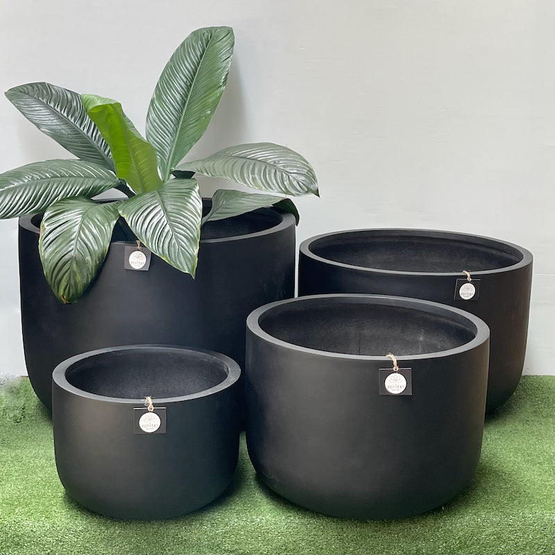Squat Egg Black