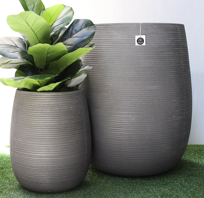 Roser Striped Grey