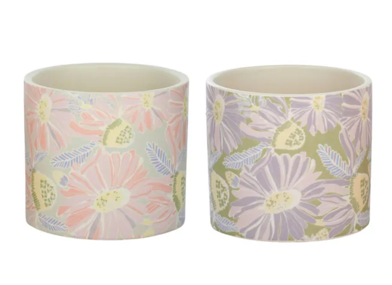 Wilde Ceramic Pot