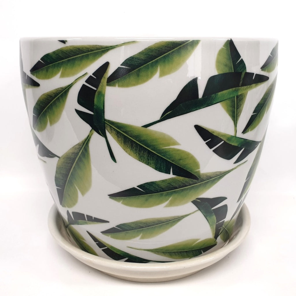 Straight Planters Palms