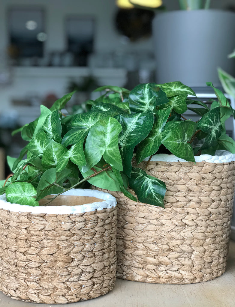 White Trim Basket Weave Pots