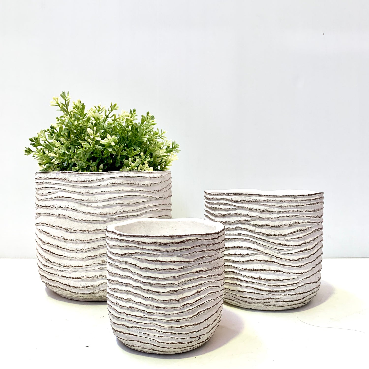 Round Wave Pots