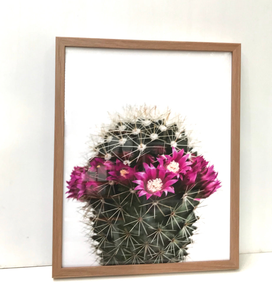 Cactus Crown