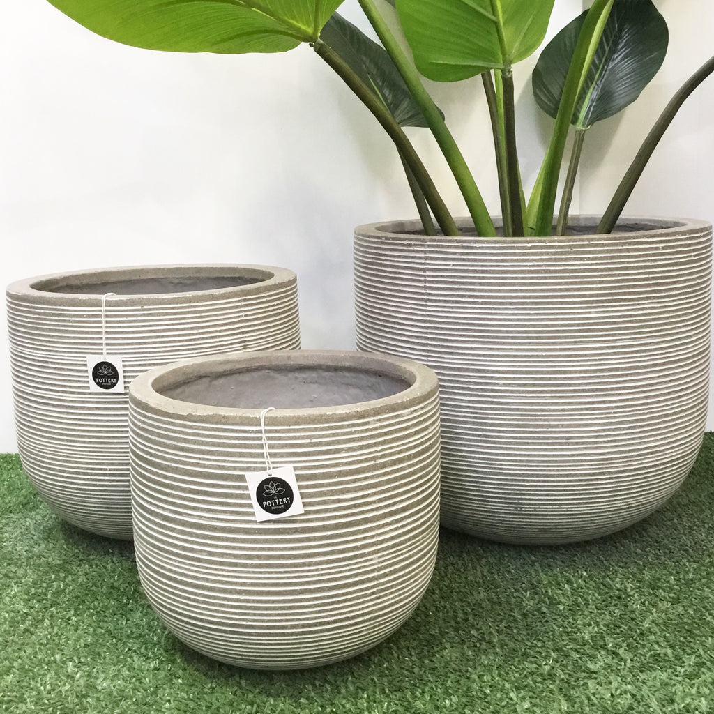 Short U - White - Horizontal stripes