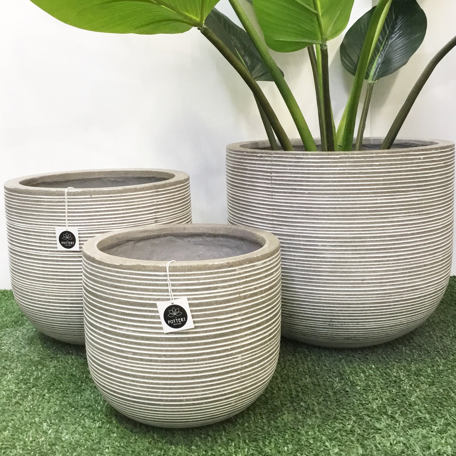 Short U - White - Horizontal stripes