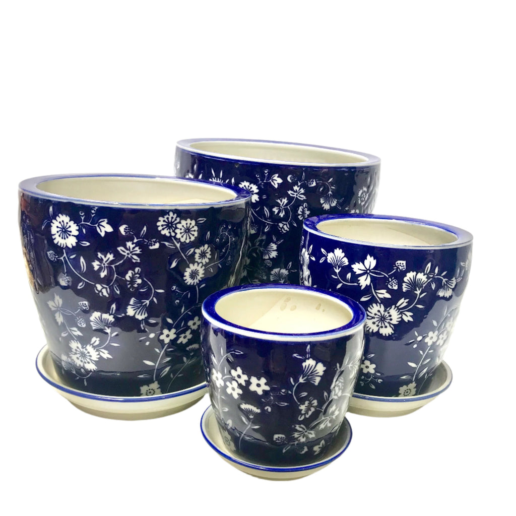 Round Pots - Royal Daisy