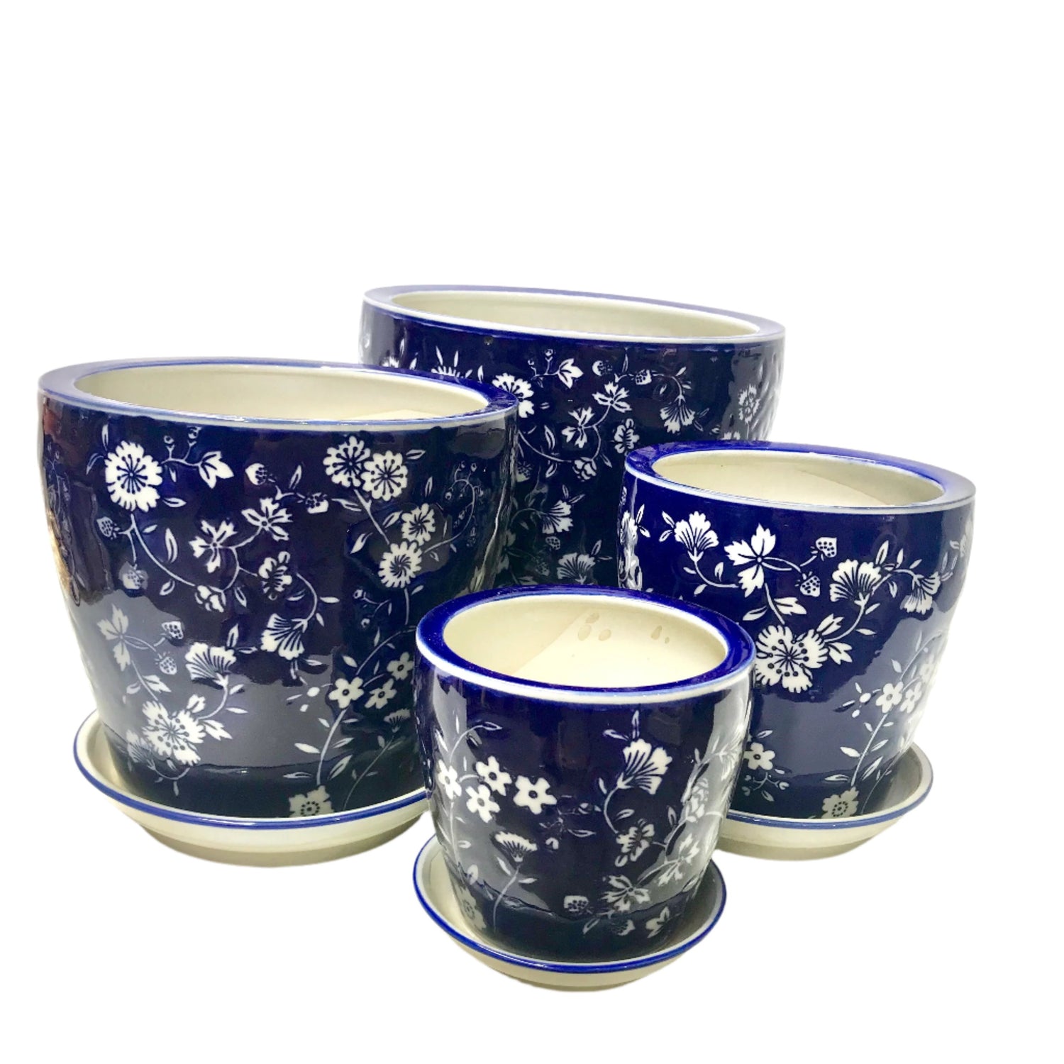 Round Pots - Royal Daisy
