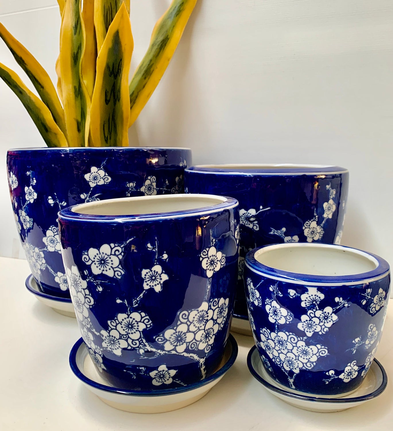 Round Pots With Saucer - Blossom