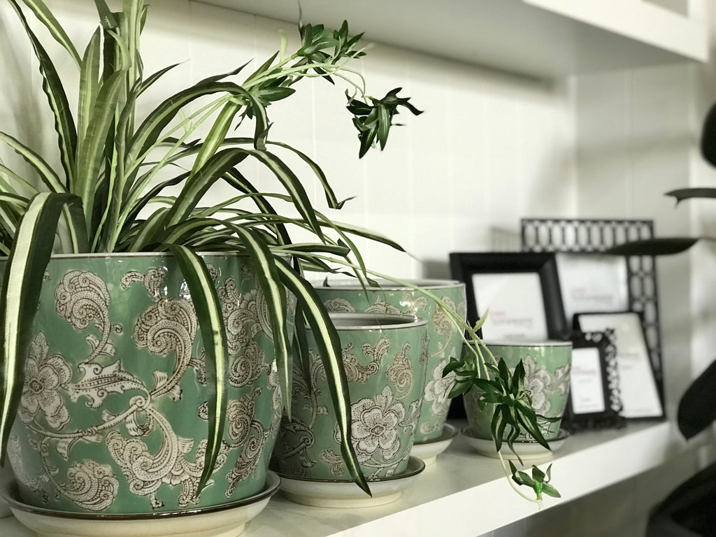 Round Pots - Sage Green