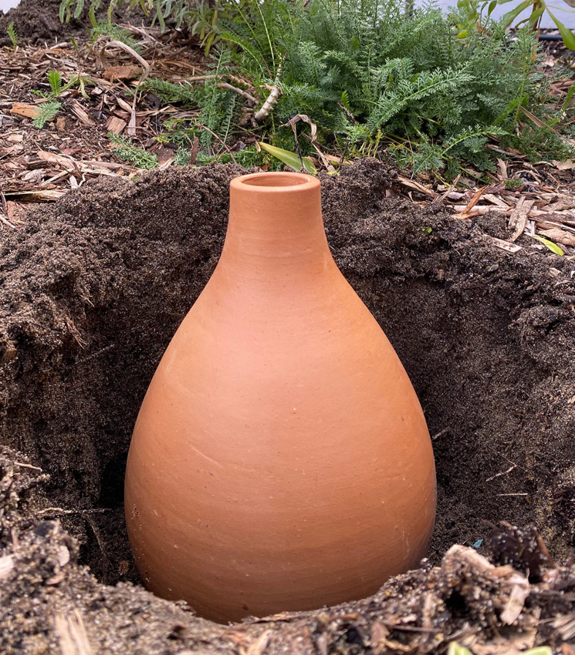 Olla Pot The Pottery Boutique