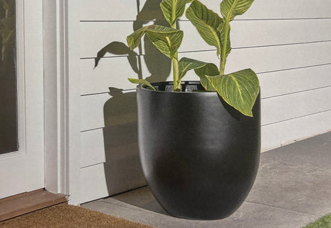 Satine Egg Planter Black
