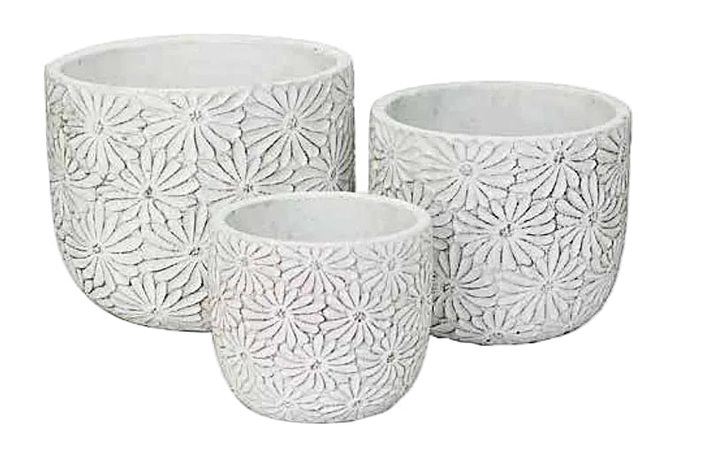 Daisy Pots