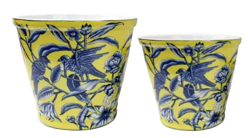Royal Yellow Perroquet Round Pots
