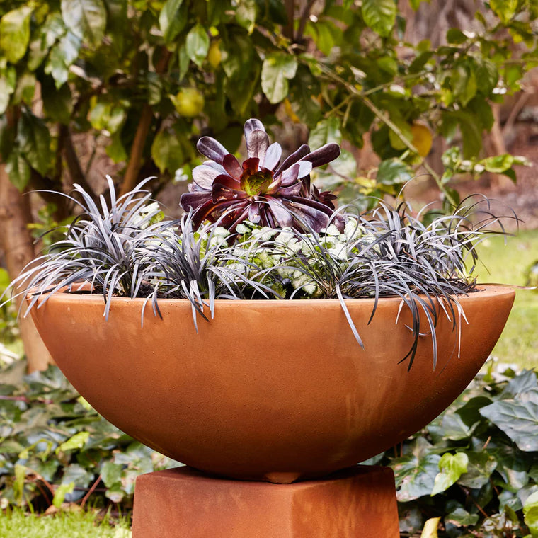 Low Bowl Iron Rust