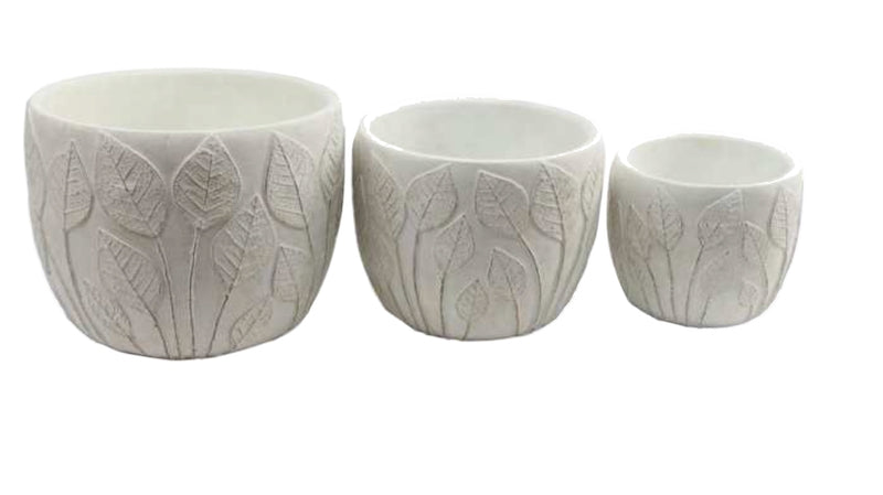 Round leaf on Stem Pot