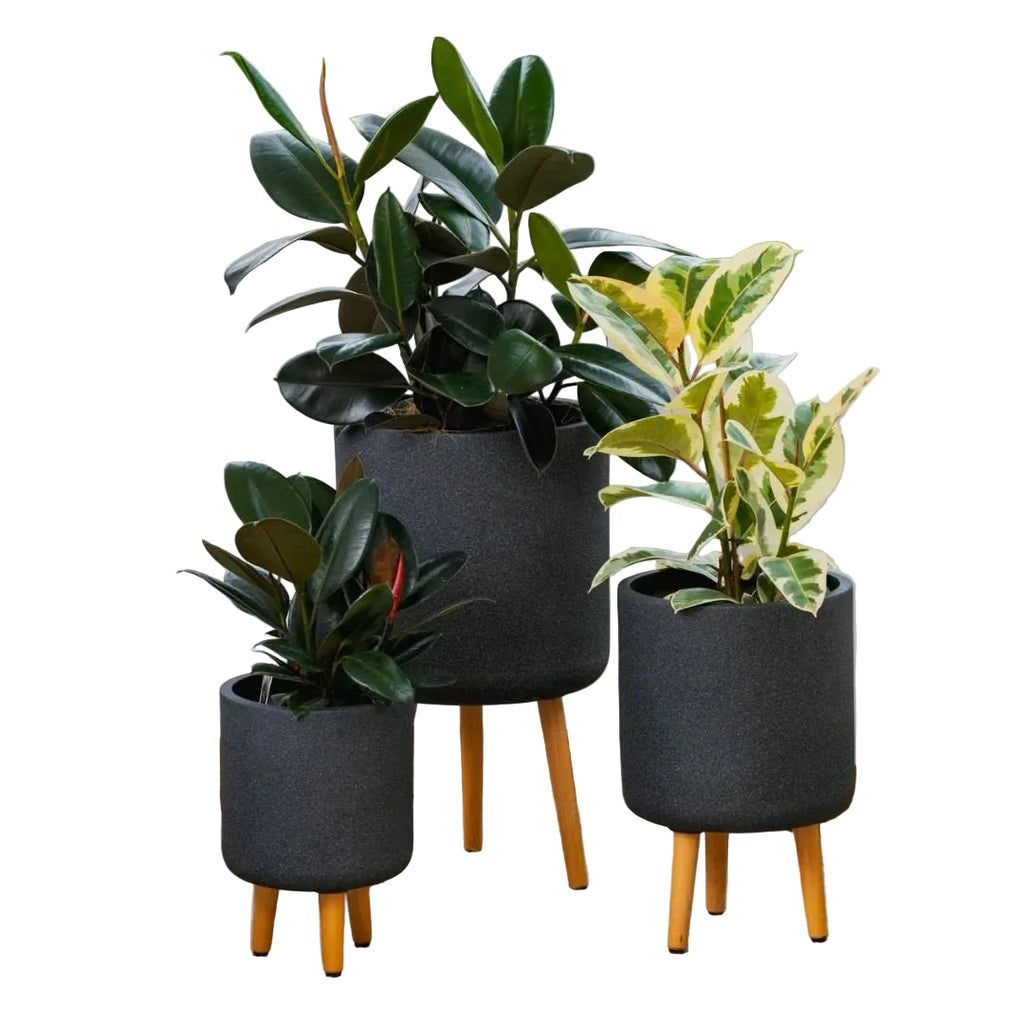 Vellum Tripod Black