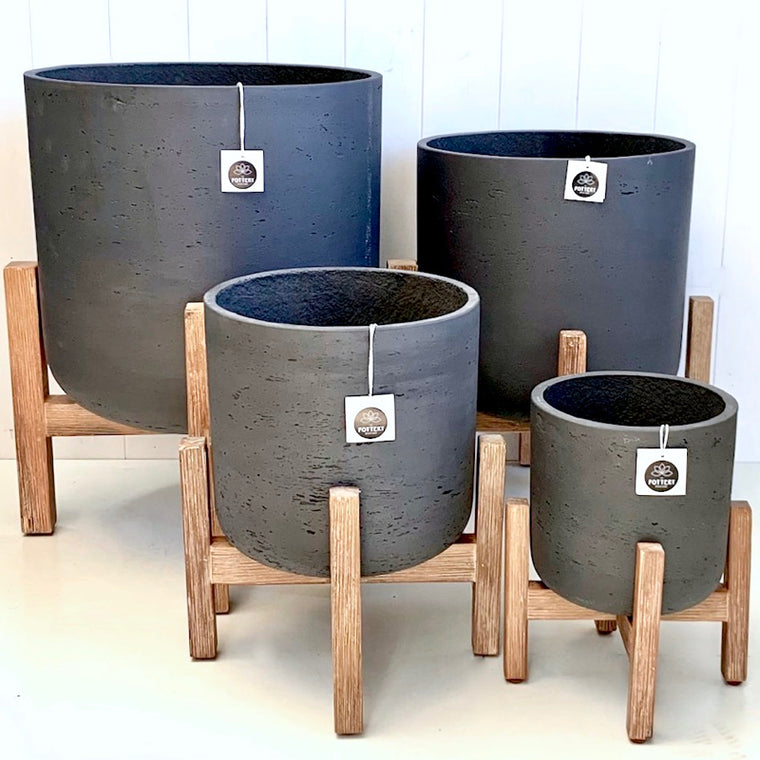 Petite Acacia Pot Black Wash