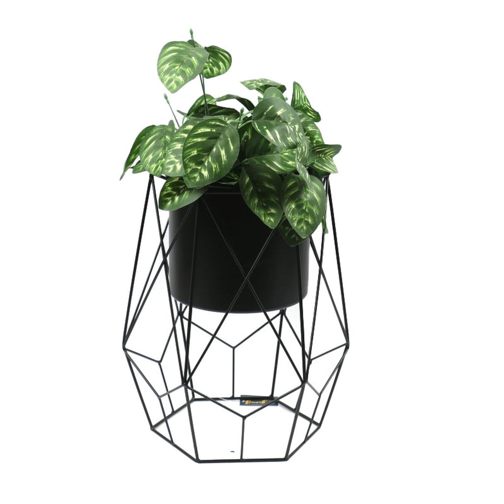 Hexagon Plant Holder