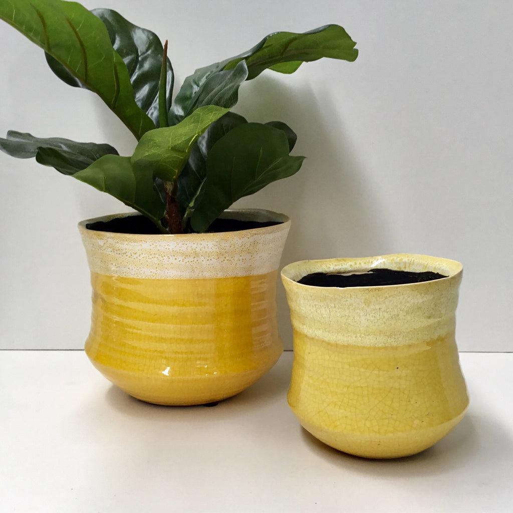 Tremargat Concave Ceramic Pot- Buttercup Yellow