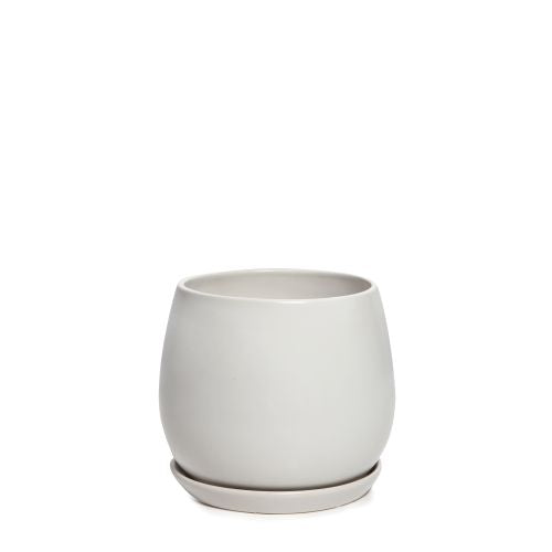 Egg Pot with Saucer Matte White