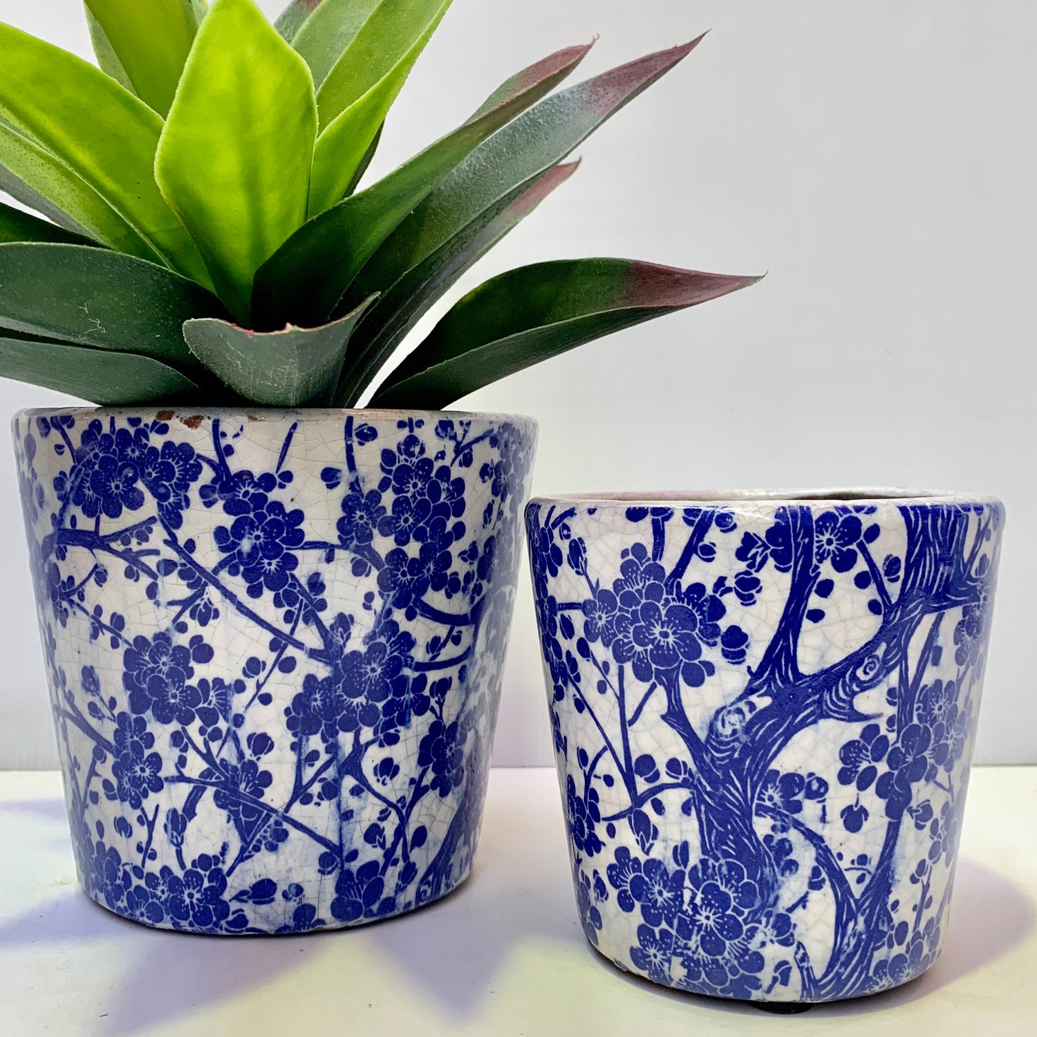 Rustic Round Pots - Blue Blooms