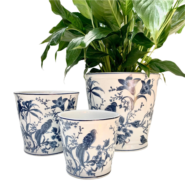 Les Oiseau Bleu Round Pots